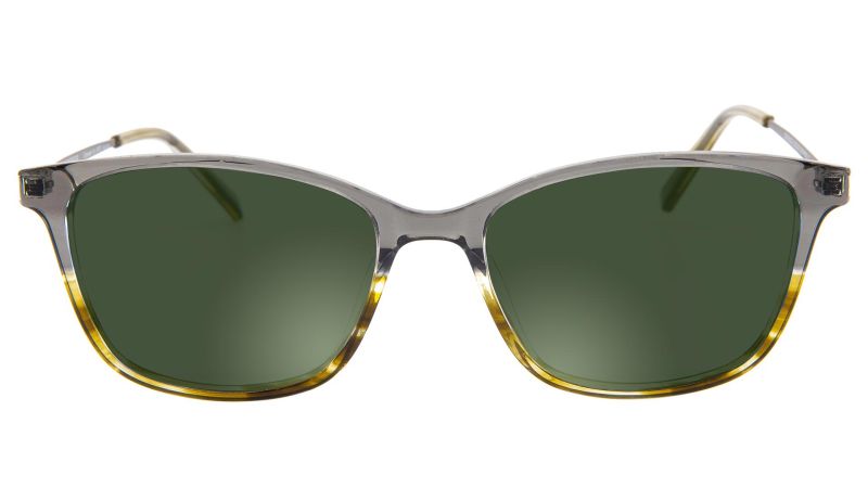 Robin Shades-Gray